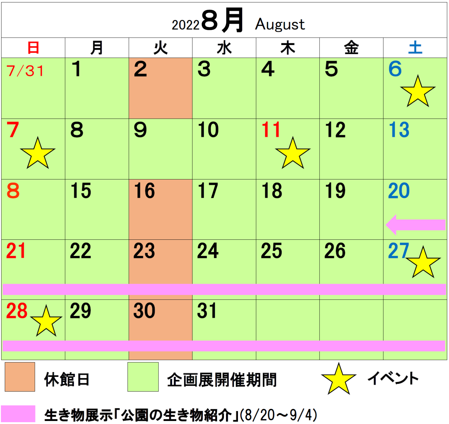 ８月のミュージアムカレンダーのイメージ